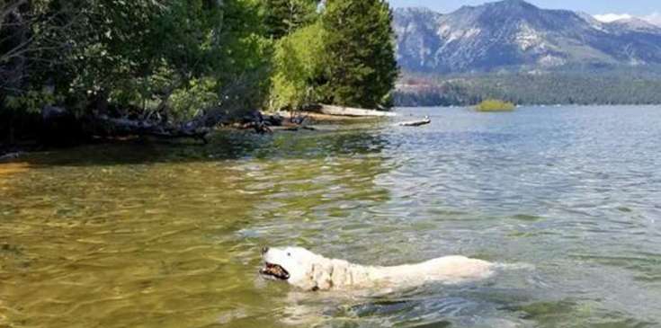 Donner Lake